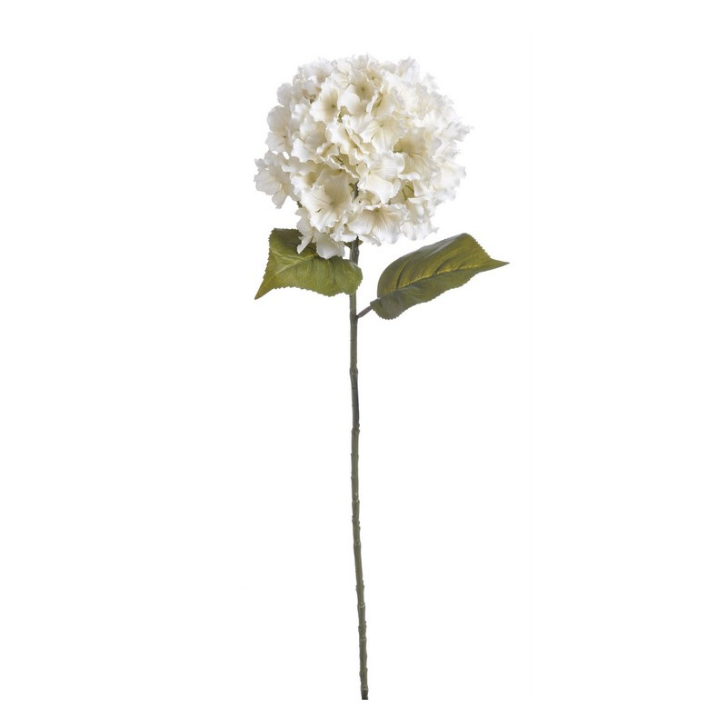 Hortensja duża x1,  H85 cm