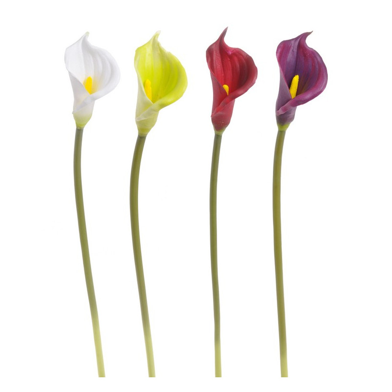 Kalia x1, 61cm - pianka