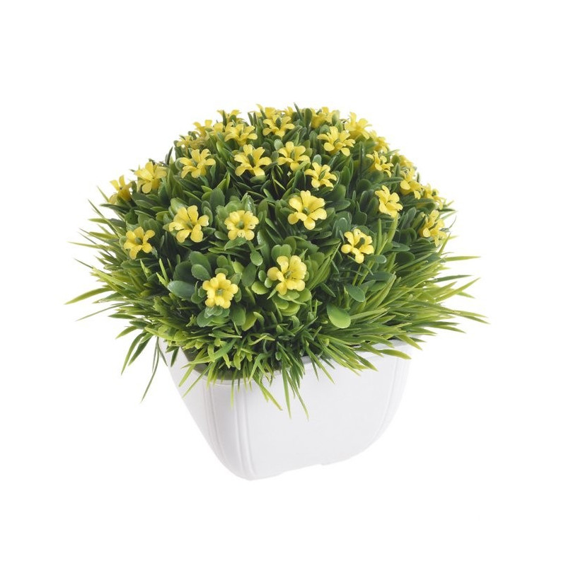 Kwiatki w doniczce 12 cm