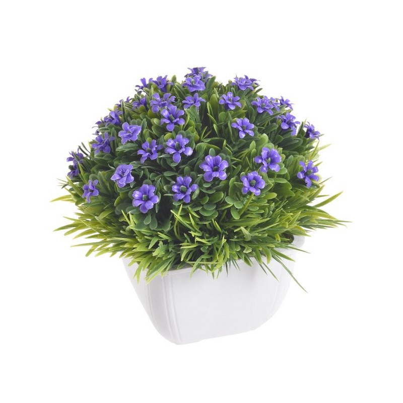 Kwiatki w doniczce 12 cm