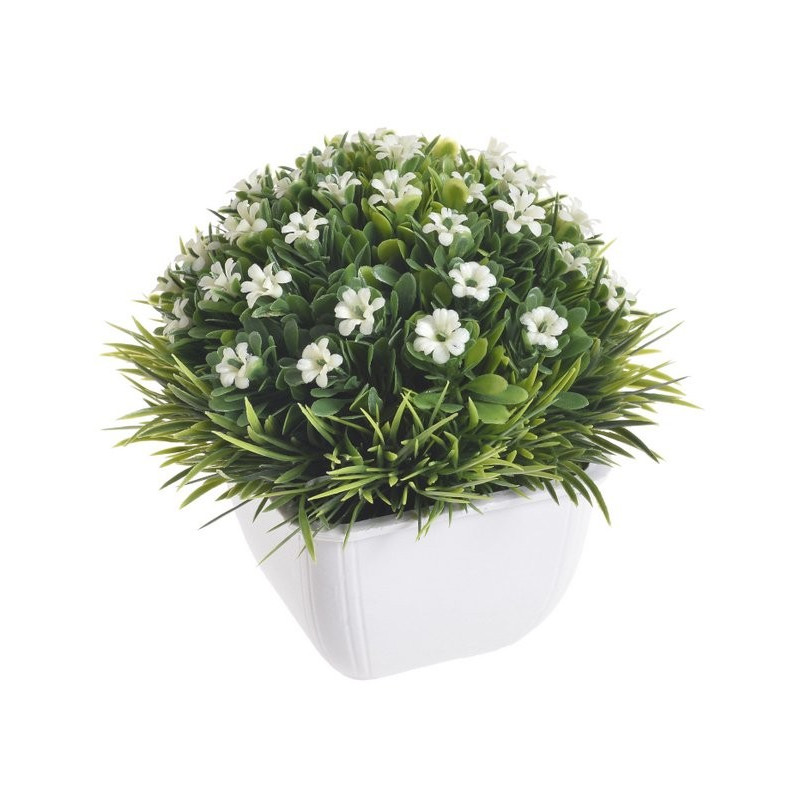 Kwiatki w doniczce 12 cm