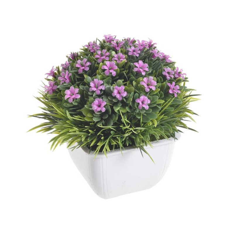 Kwiatki w doniczce 12 cm