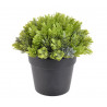 Sztuczna roślina w doniczce 17 cm
