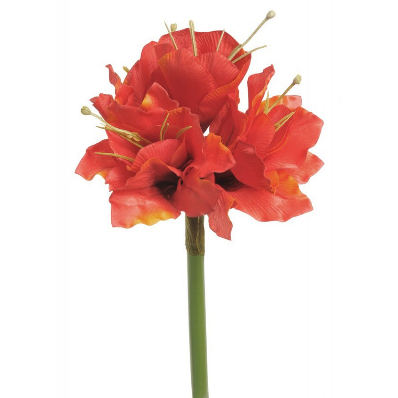 Amarylis x3, 40 cm