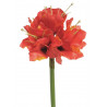 Amarylis x3, 40 cm