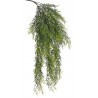 Pnącze asparagus spray 68 cm