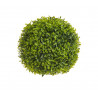 Kula krzaczasta 25 cm