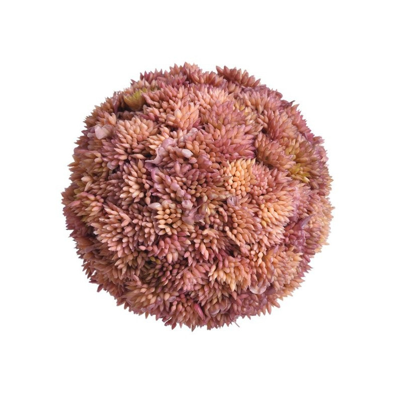Kula sukulent 10 cm