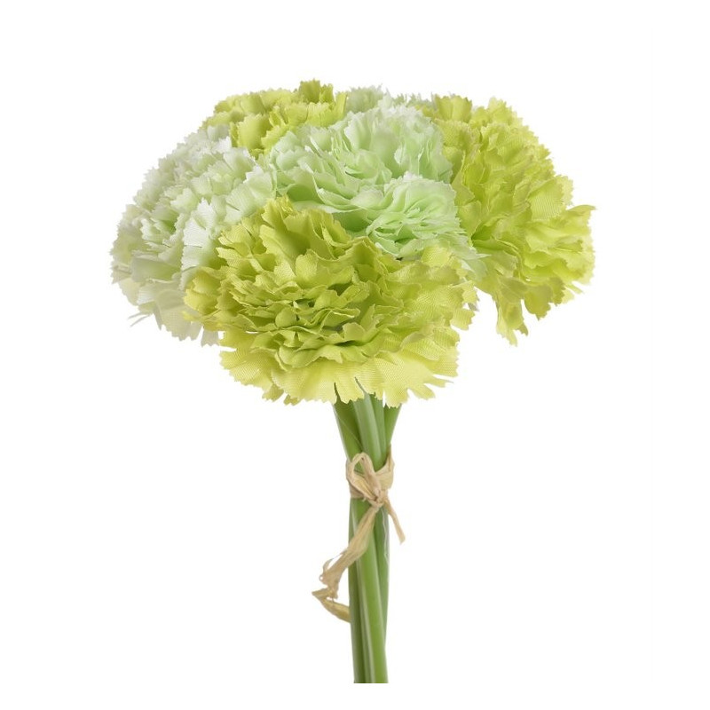 Goździk bukiet x6, 23 cm