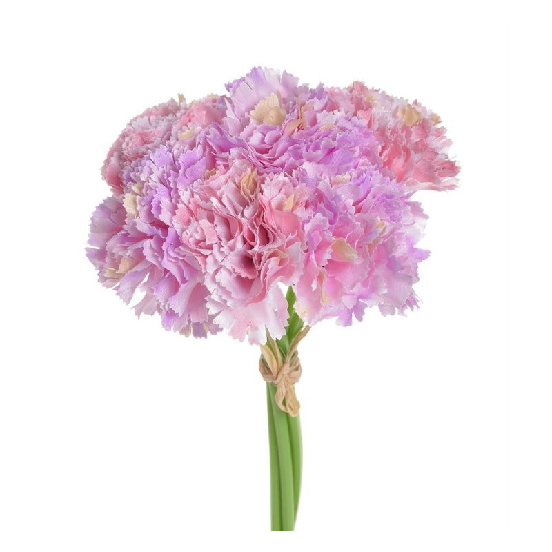 Goździk bukiet x6, 23 cm