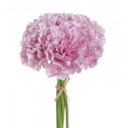 Goździk bukiet x6, 23 cm