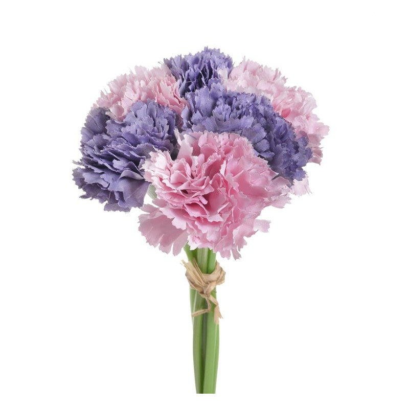 Goździk bukiet x6, 23 cm