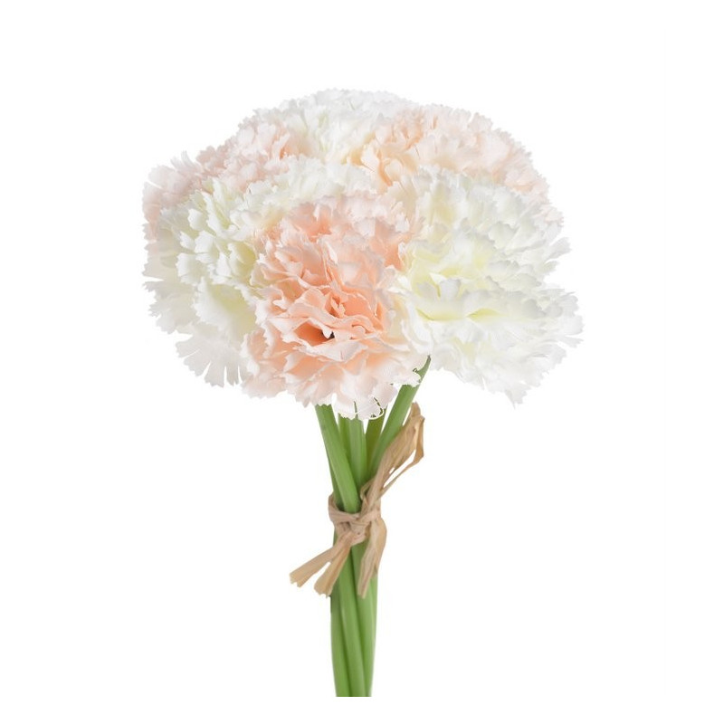 Goździk bukiet x6, 23 cm