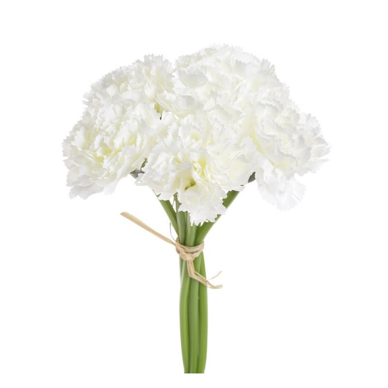 Goździk bukiet x6, 23 cm