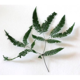 Mountain Fern ( górska paproć ) 40x40 cm 10 szt/pacz