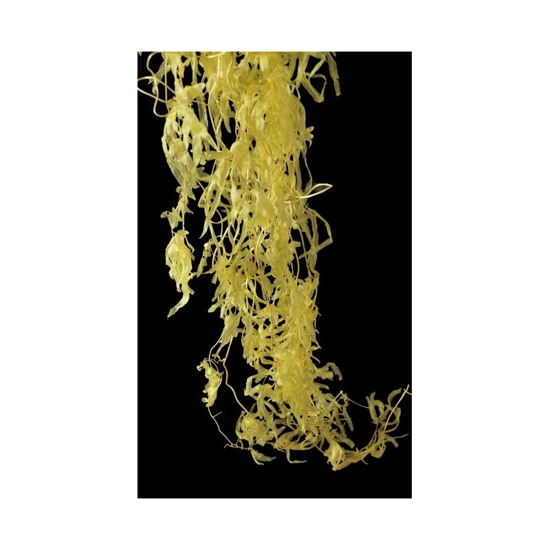 Fern vine L140 cm 10szt/pacz