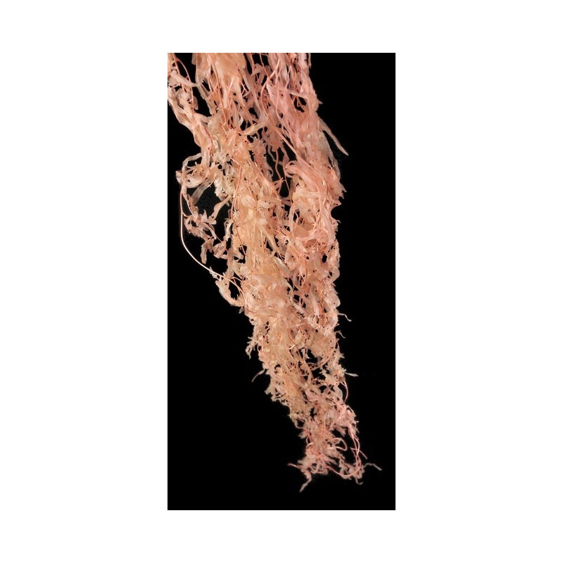 Fern vine L140 cm 10szt/pacz