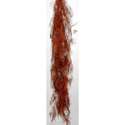 Licopodium vine x10 L120 cm