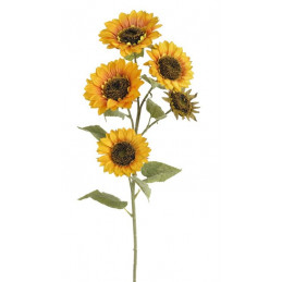 Słonecznik x5, 95 cm