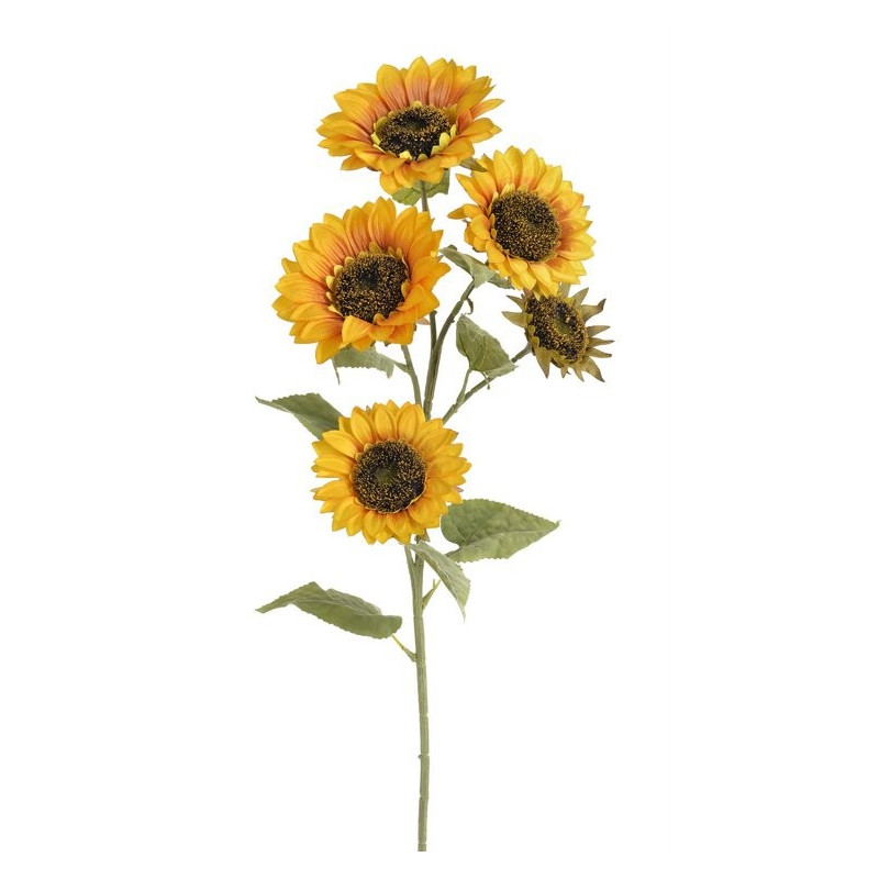 Słonecznik x5, 95 cm