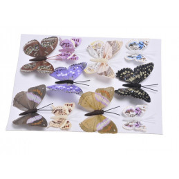 Motyl mix 8 cm-5 cm na klipie - krt 10 szt