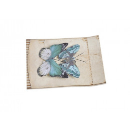 Motyl na klipie 6,5 cm, 2szt