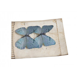 Motyl na klipie 8cm, 2sz LT BL/VIOL