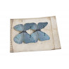 Motyl na klipie 8cm, 2sz LT BL/VIOL