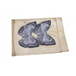 Motyl na klipie 8cm, 2szt/paczka DK GREY