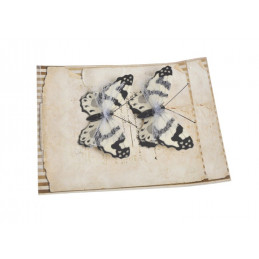 Motyl na klipie 8cm, 2szt/paczka WHITE / GREY