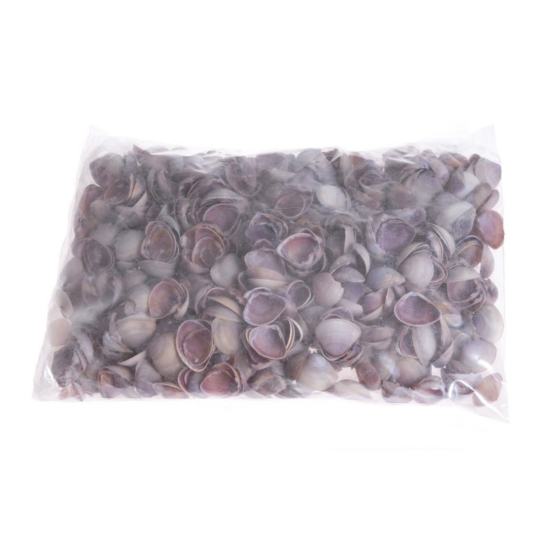 Muszle BLUE CHIPPY, 2,5-3cm_1KG