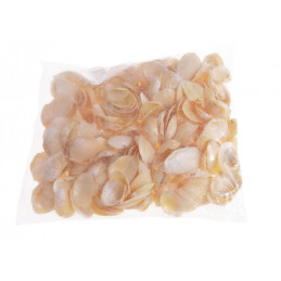 Muszle GOLDEN CHIPPY 4,5-5,5 cm 1KG