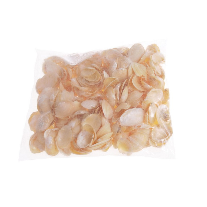 Muszle GOLDEN CHIPPY 4,5-5,5 cm 1KG