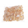 Muszle GOLDEN CHIPPY 4,5-5,5 cm 1KG