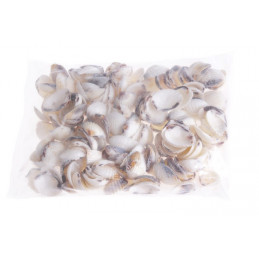 Muszle KARANDAI CHIPPY, 3,5-4 cm 1KG