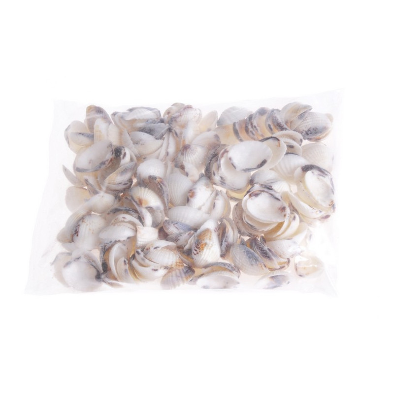 Muszle KARANDAI CHIPPY, 3,5-4 cm 1KG