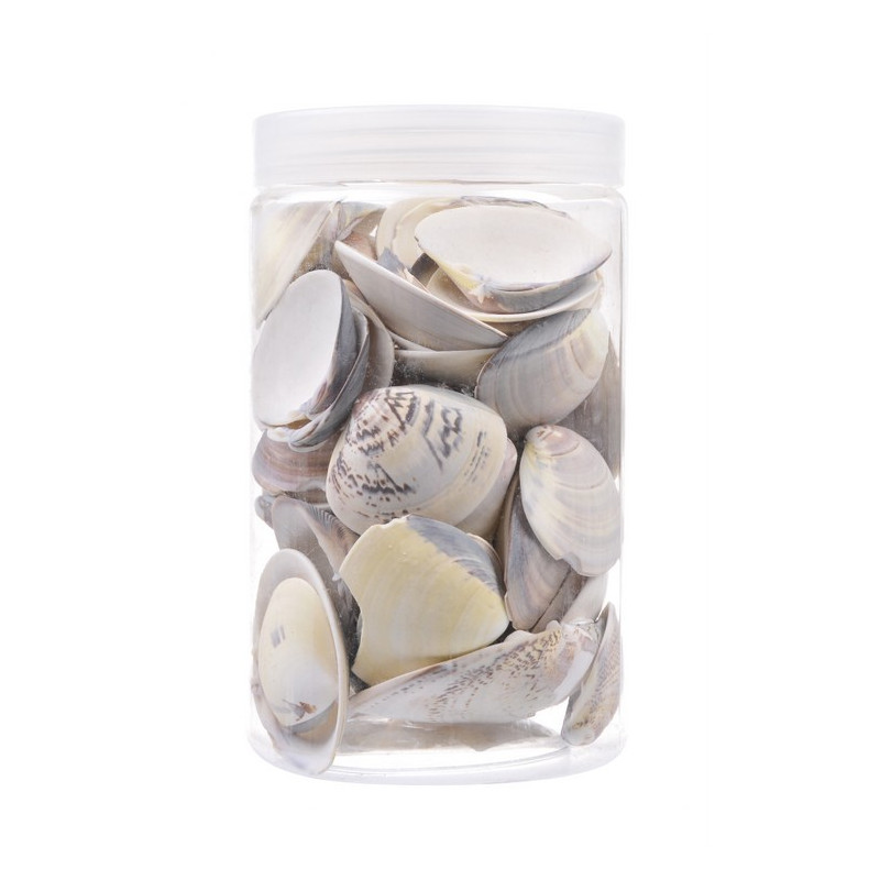 Muszle pojemnik, 850 g 5-7 cm