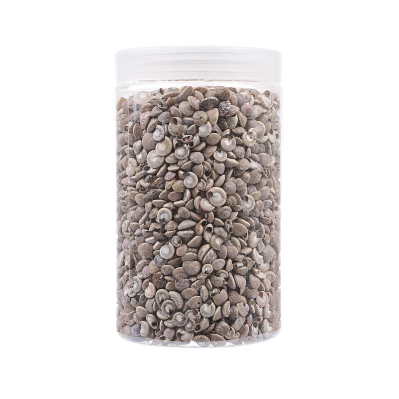 Muszle pojemnik 650 g 0,6-1,5 cm