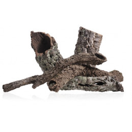 Kora dębu korkowego 20-200 cm