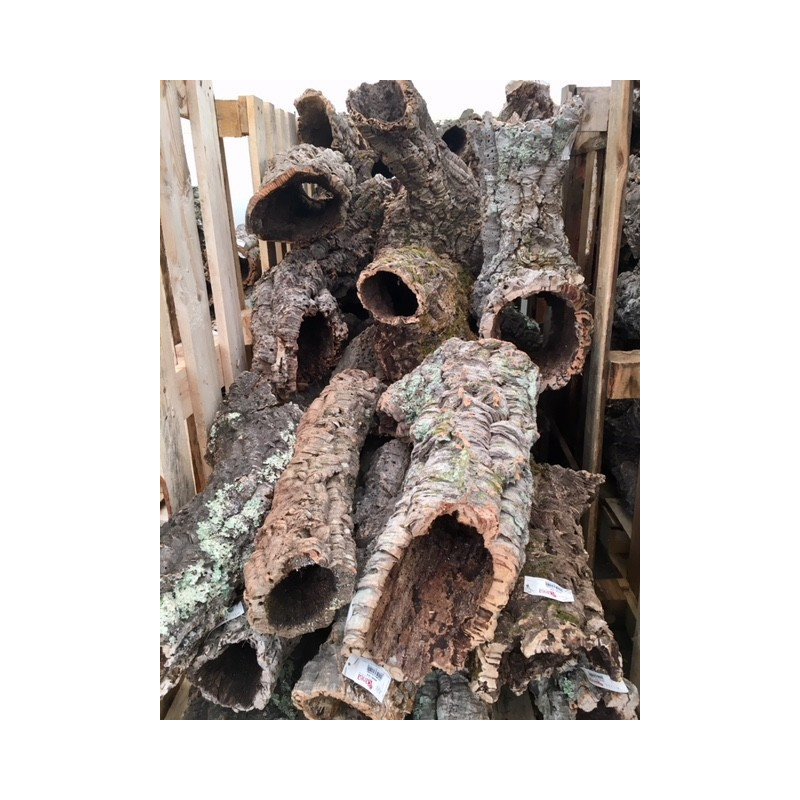 Kora dębu korkowego 20-200 cm