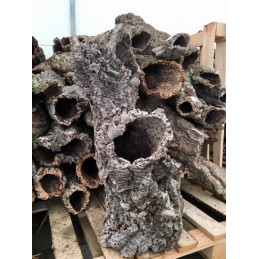 Kora dębu korkowego 20-200 cm