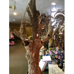 Kora dębu korkowego 20-200 cm