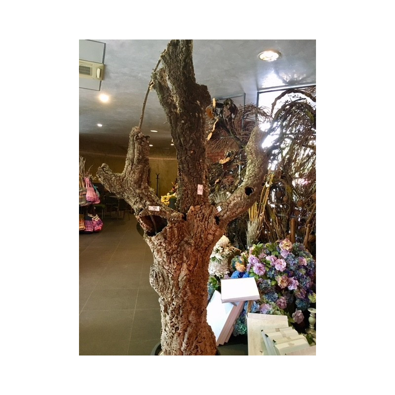 Kora dębu korkowego 20-200 cm