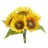 Słonecznik bukiet x 5szt 28 cm