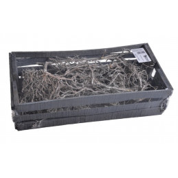 Dry Tree frosted x 200 g  - frosted white