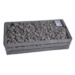 Eucalyptus Pod x 2.5 kg frosted white