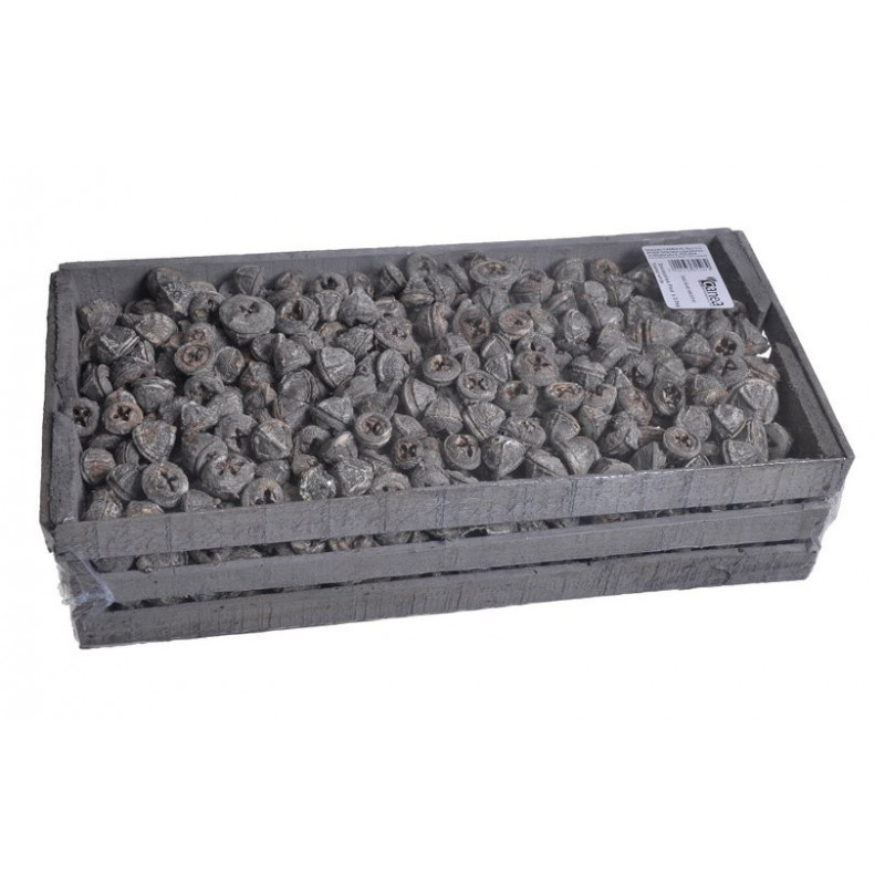 Eucalyptus Pod x 2.5 kg frosted white