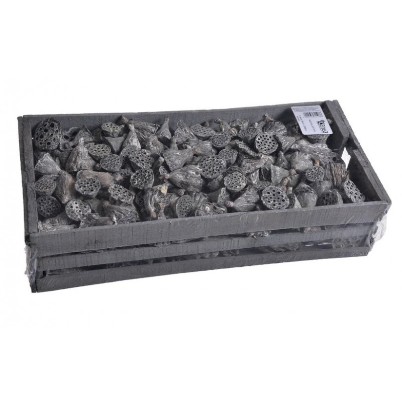 Lotus Mini frosted x 140 szt - lotos mini frosted