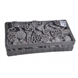 Lotus Small x 100 frosted white - lotos mały frosted