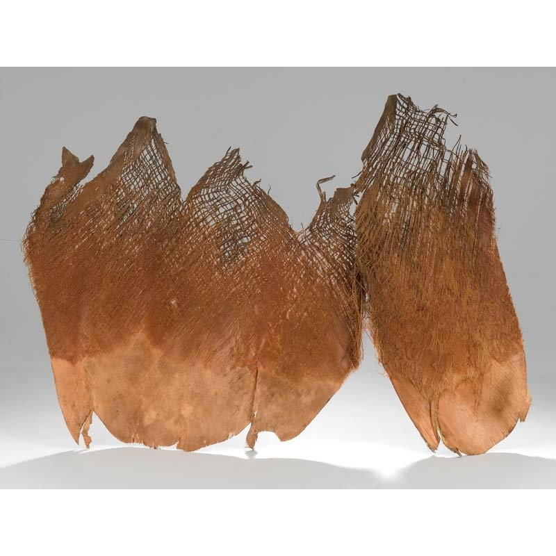 Palm bakla natural - kora palmowa LUZ